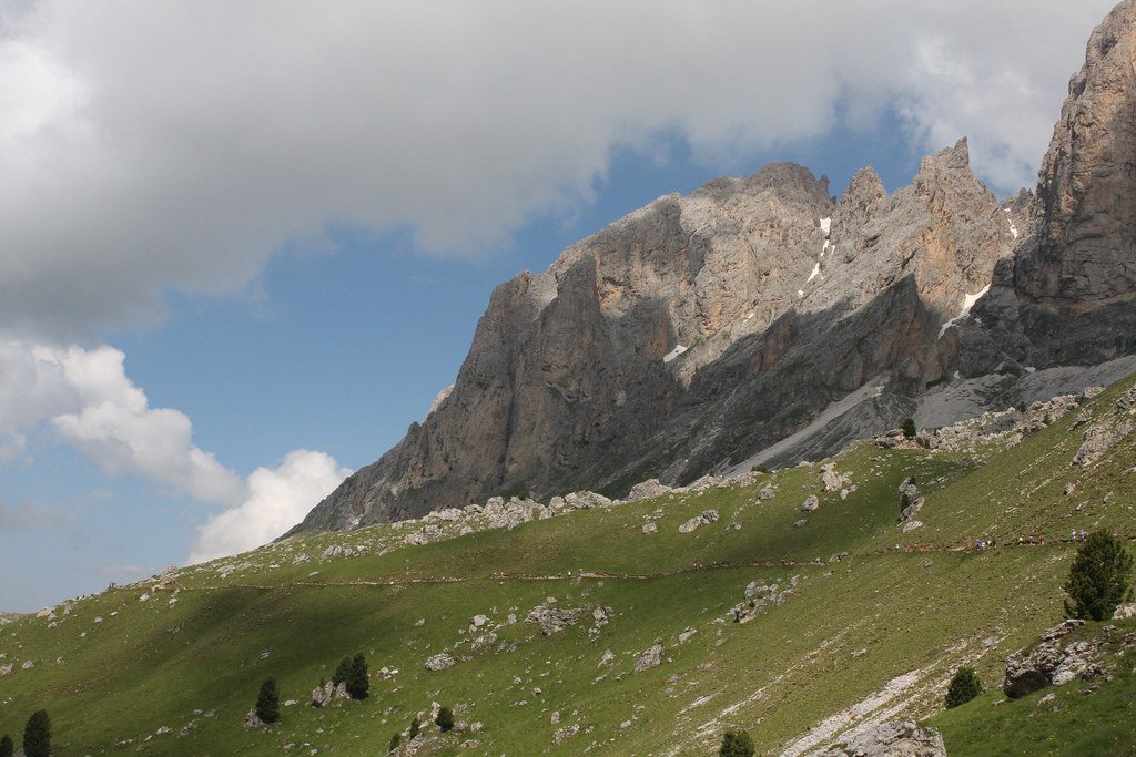 Dolomites Italy, ghost trees