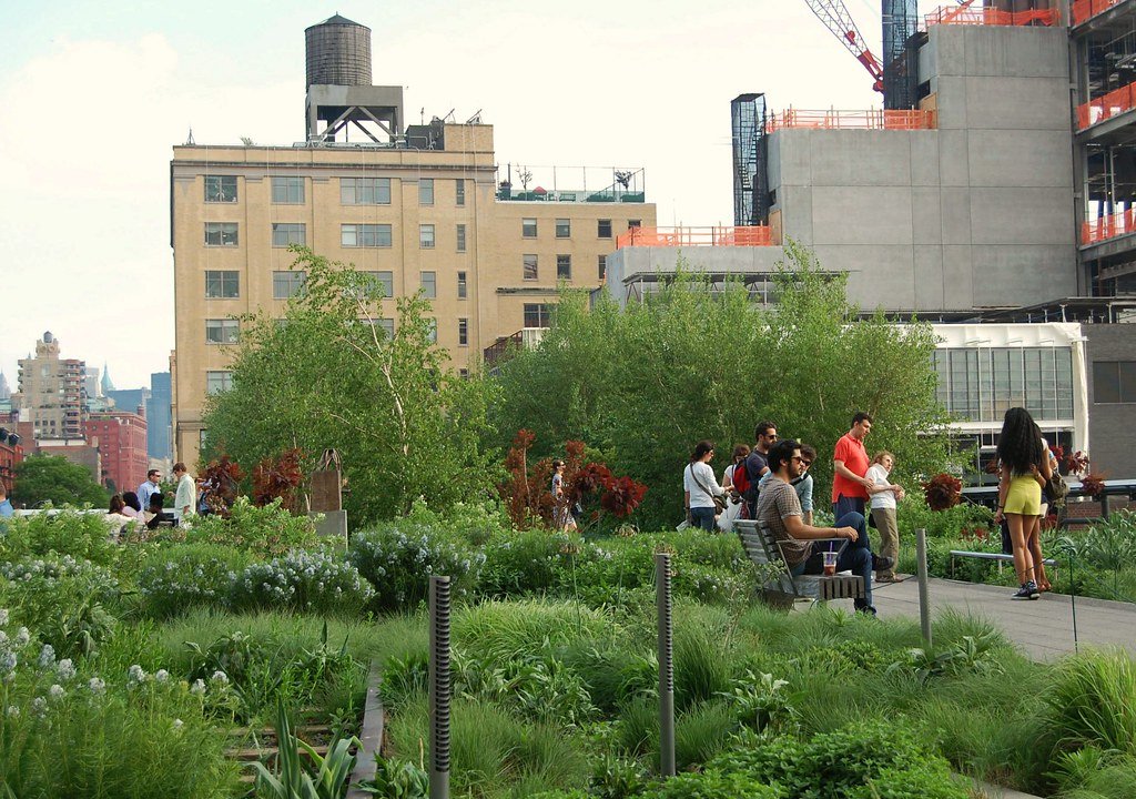 NYC green roof movement, roof garden
