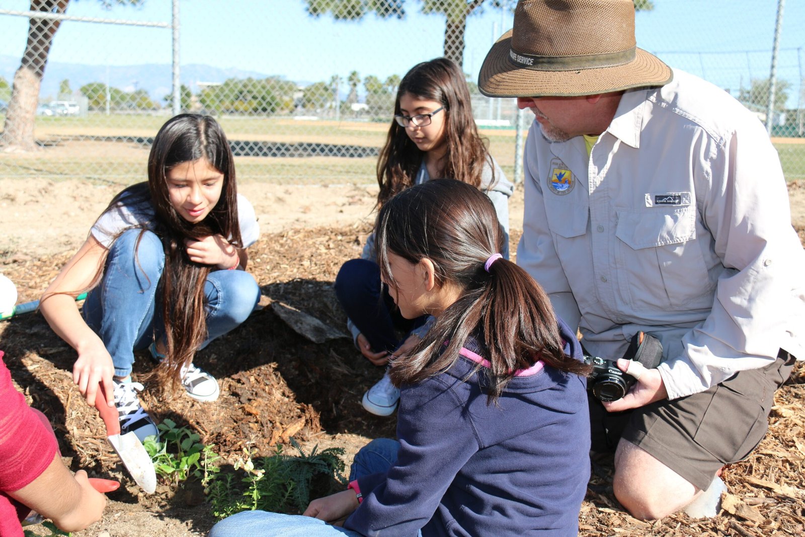 Food Sources That Fit Like a Glove (image credits: wikimedia)