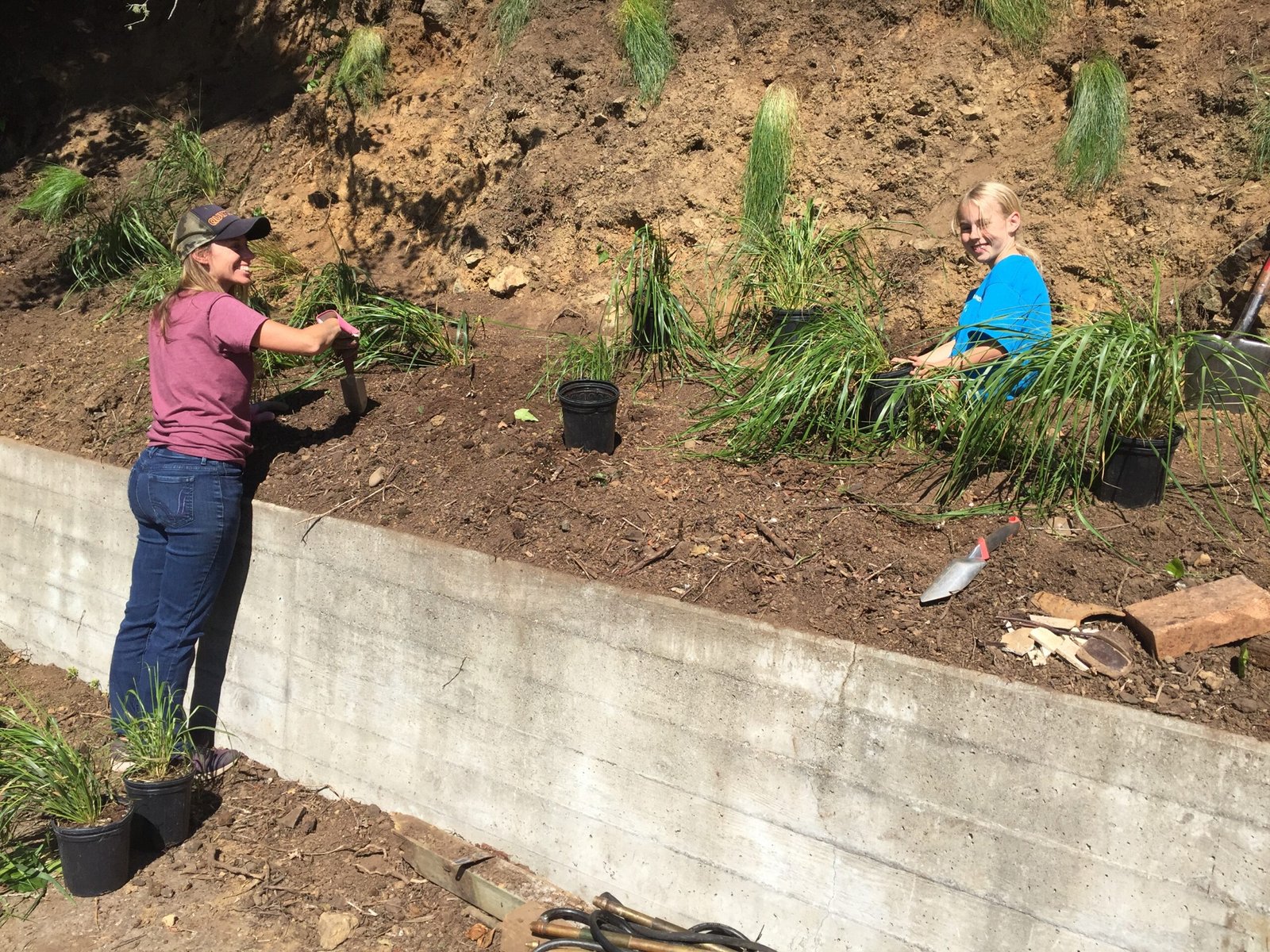 Innovations in Tackling Invasive Species Threatening Native Wildlife in Australia