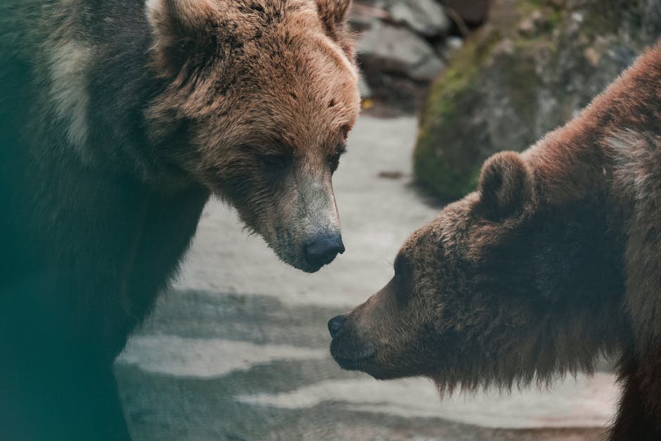 Avoid Direct Eye Contact (image credits: pexels)