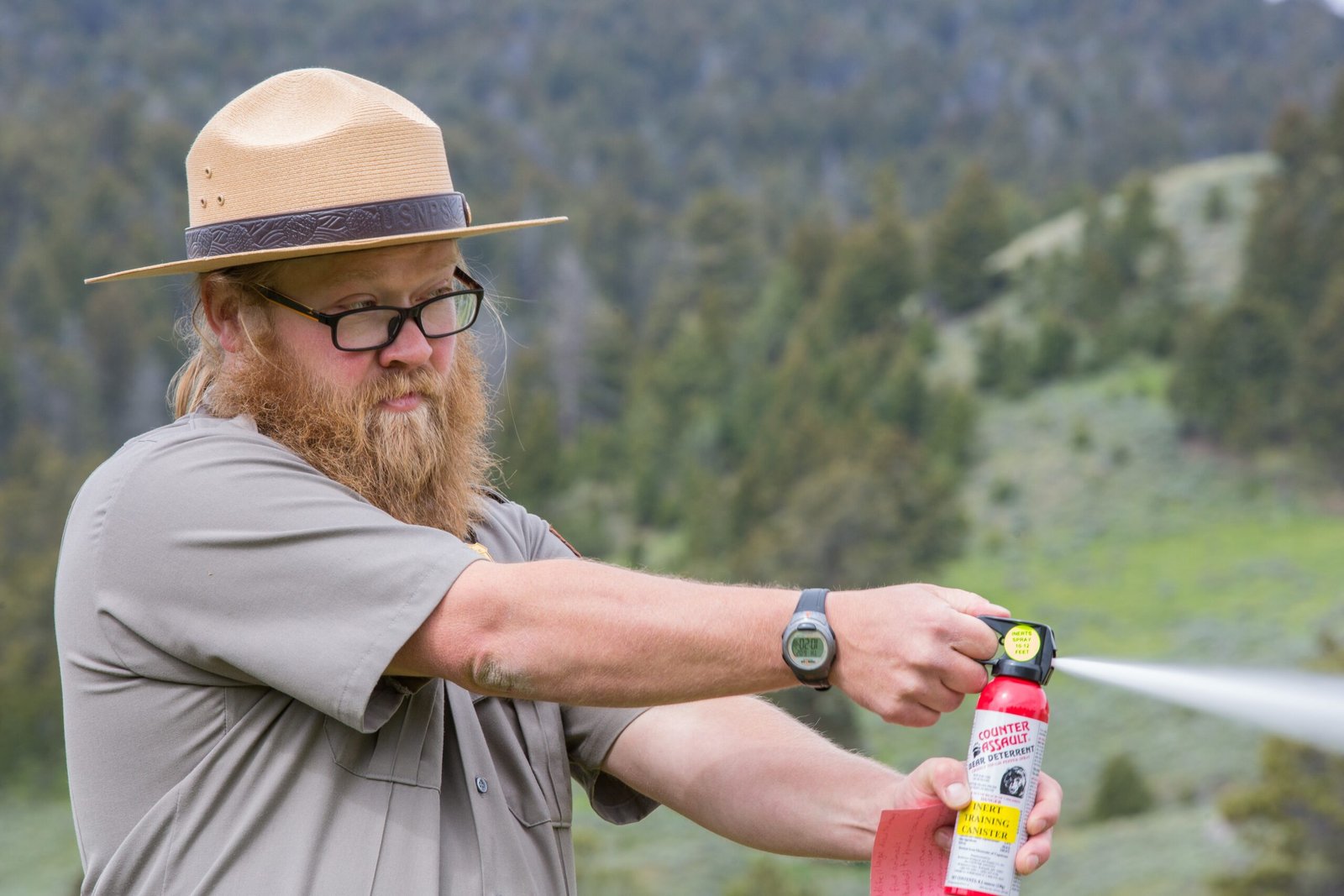 Use Bear Spray if Necessary (image credits: wikimedia)