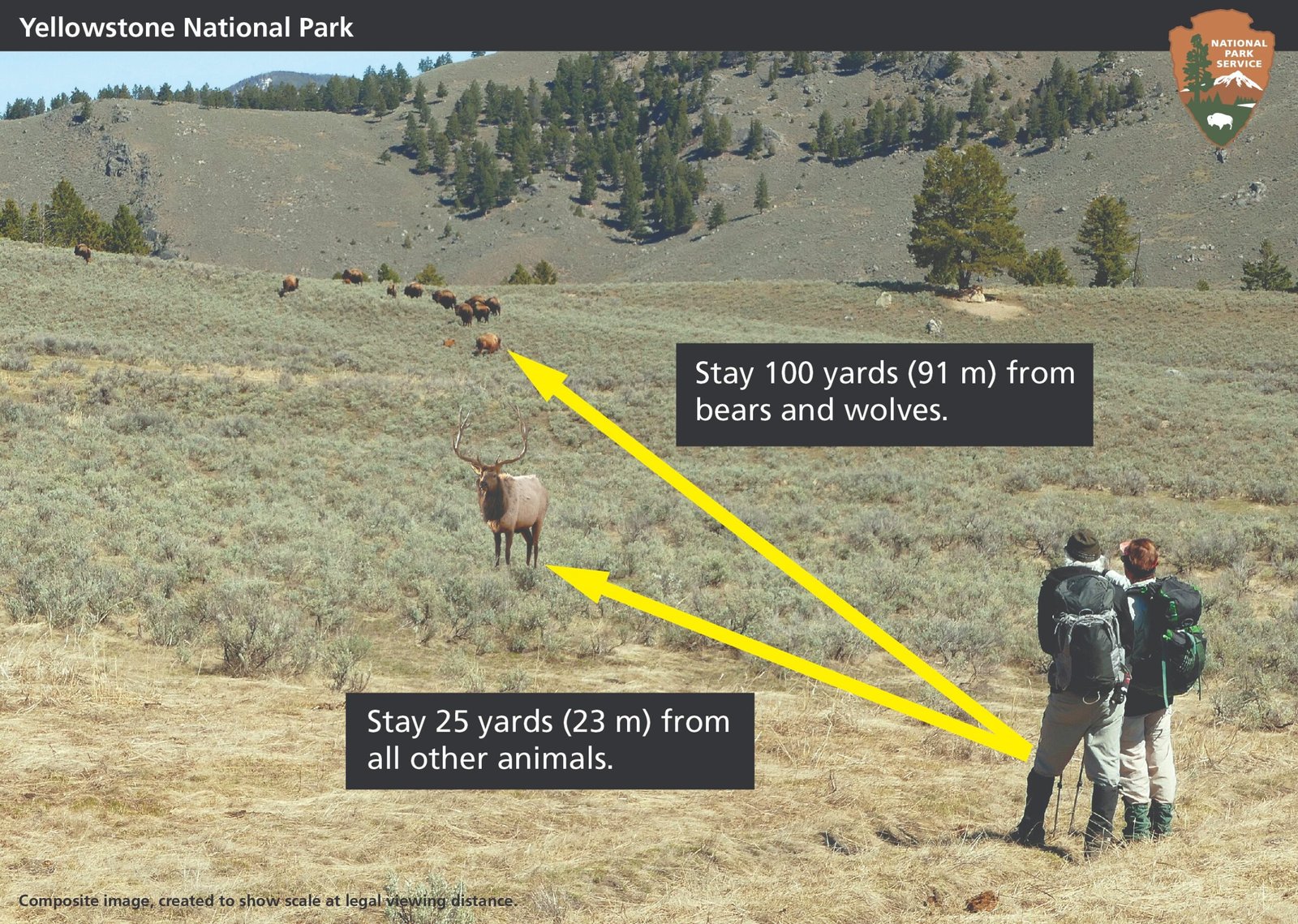 The Importance of Keeping Your Distance (image credits: wikimedia)