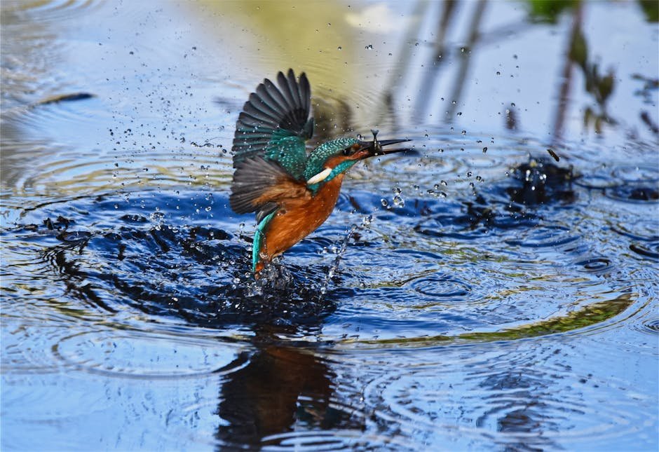 Colorful Kingfishers by the Water (image credits: pexels)