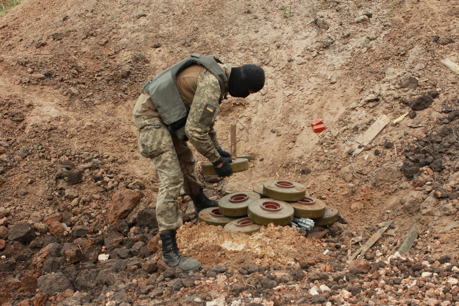 The Future of Ecosystem Rehabilitation in Ukraine (image credits: wikimedia)