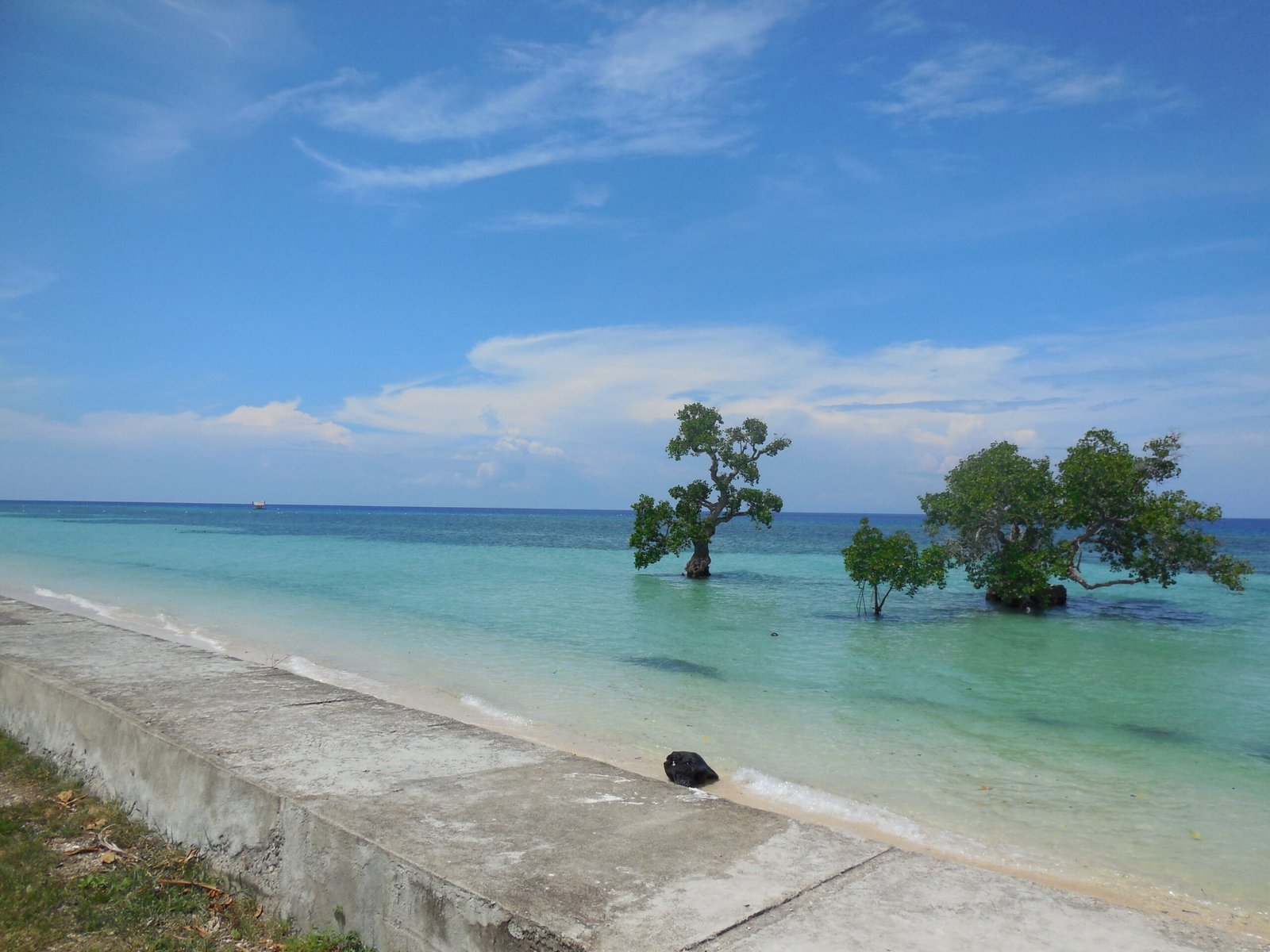 Challenges Facing MPAs in the Philippines (image credits: wikimedia)