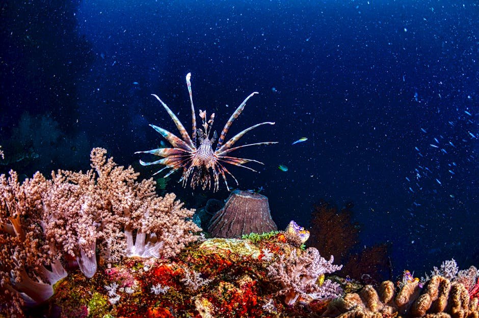 The Tenacious Lionfish (image credits: pexels)