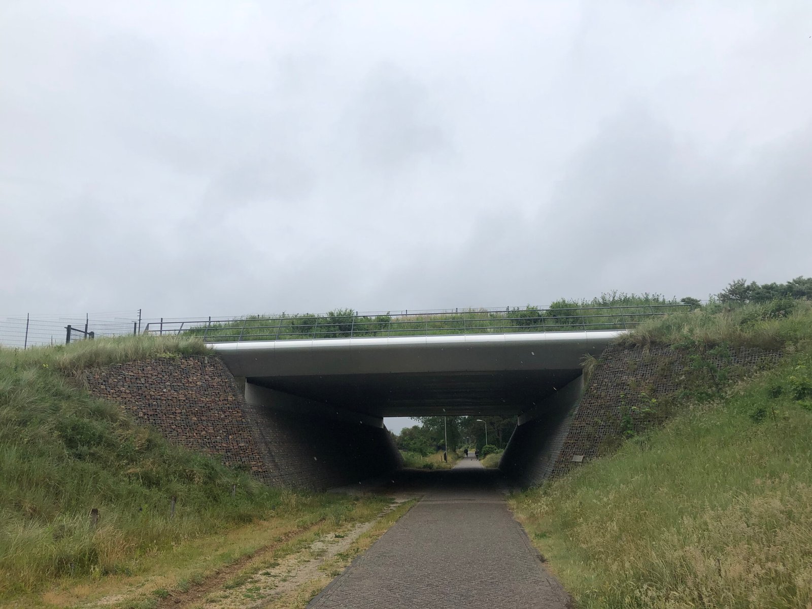 The Problem of Fragmented Habitats (image credits: wikimedia)