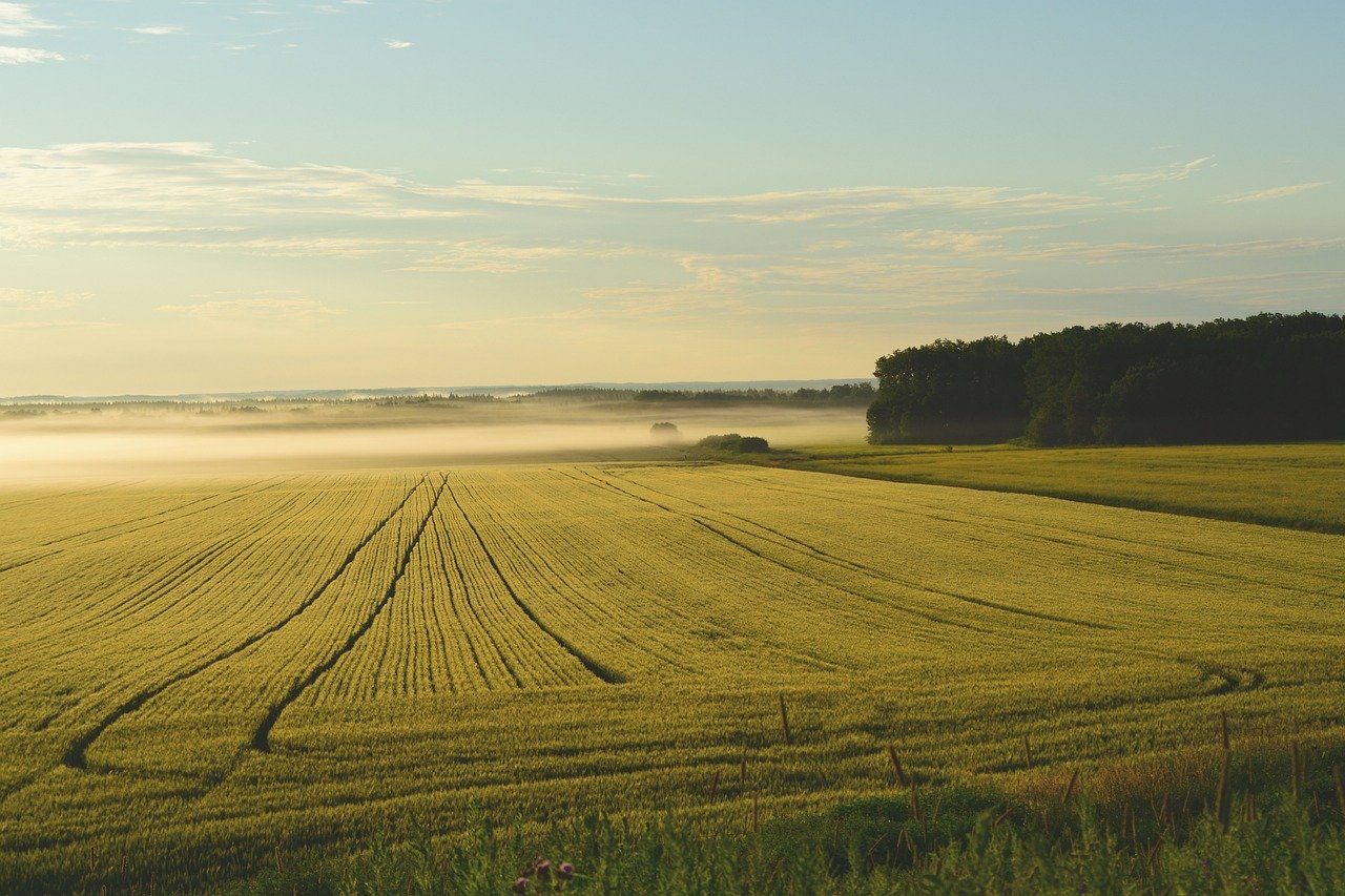 Land Management Practices: A Double-Edged Sword (image credits: pixabay)