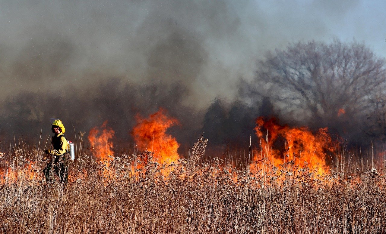 Innovative Approaches to Fire Management (image credits: pixabay)