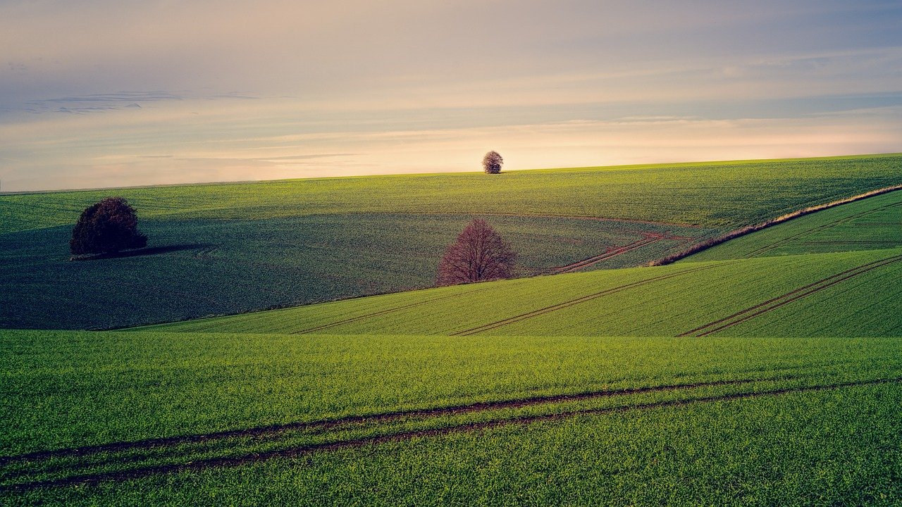 Community Involvement in Land Management (image credits: pixabay)