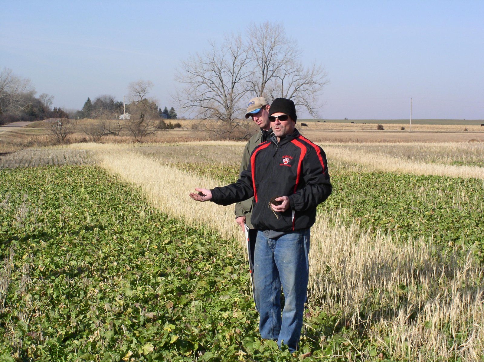 Challenges and Sacrifices Faced by Conservationists (image credits: wikimedia)