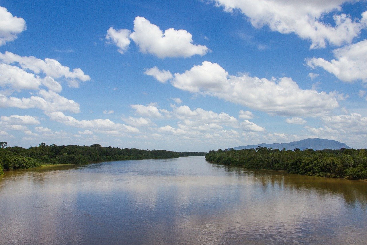 A Call to Action: Preserving the Amazon (image credits: pixabay)