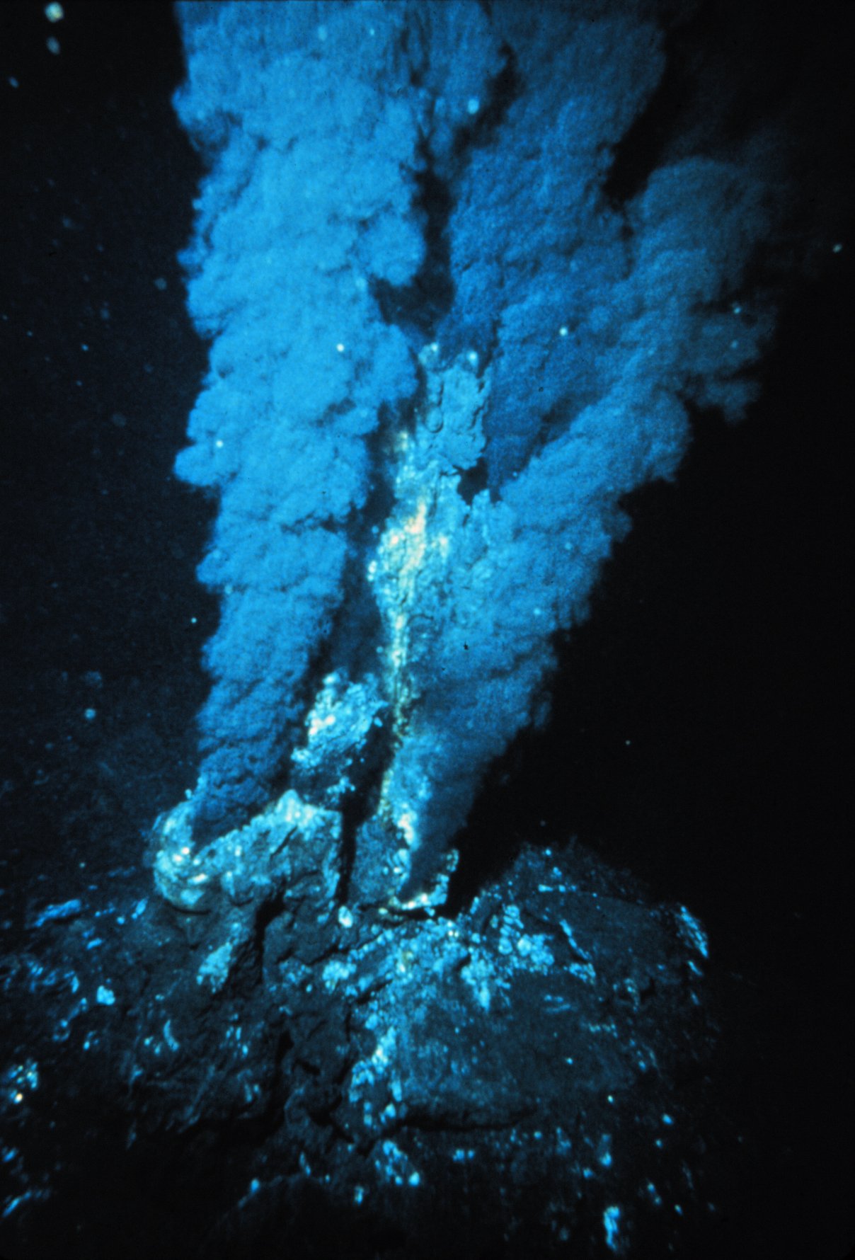 Life in the Boiling Waters of Hydrothermal Vents (image credits: wikimedia)