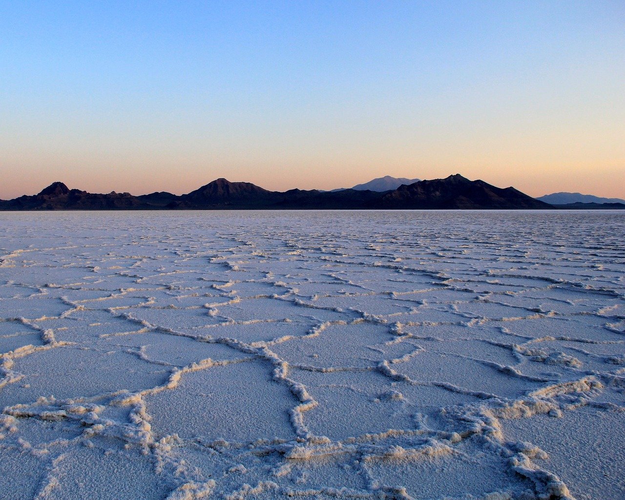 Thriving in the High-Salinity of Salt Flats (image credits: pixabay)