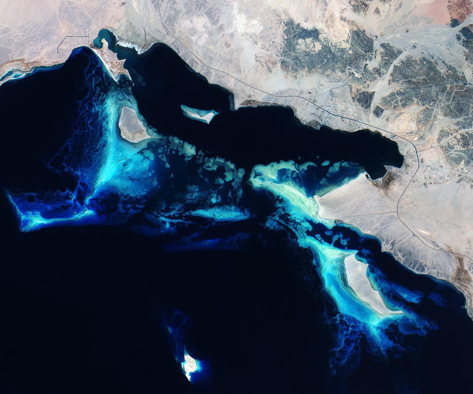 Adapting to the Darkness of the Abyss (image credits: wikimedia)