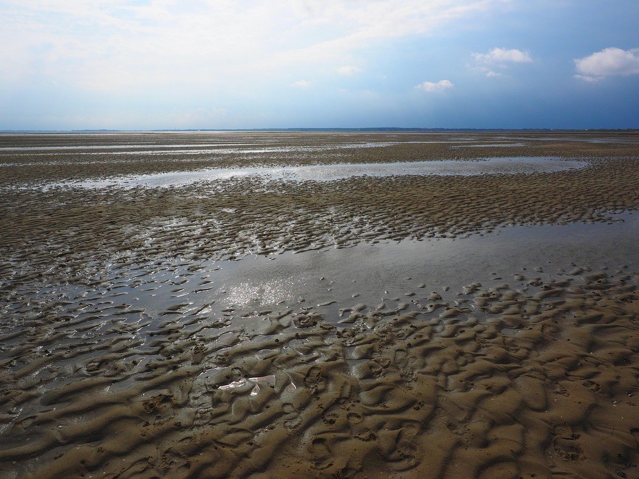 Living in the Turbulent Waters of Intertidal Zones (image credits: pixabay)