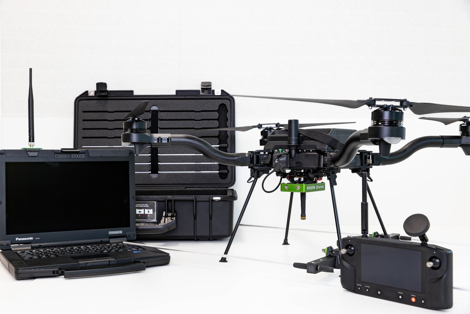 AI-Powered Wildlife Monitoring (image credits: wikimedia)