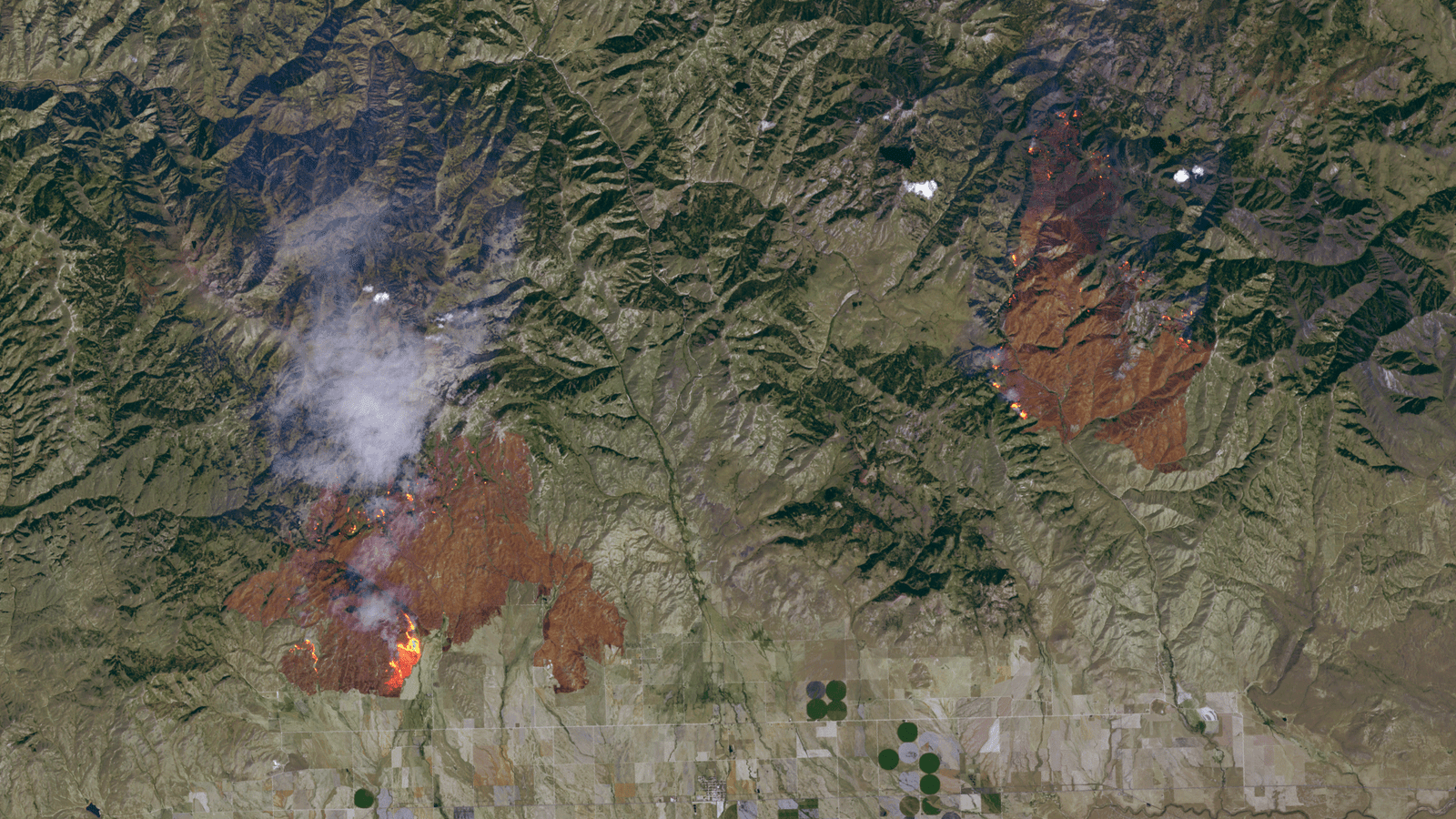 AI in Habitat Restoration (image credits: wikimedia)