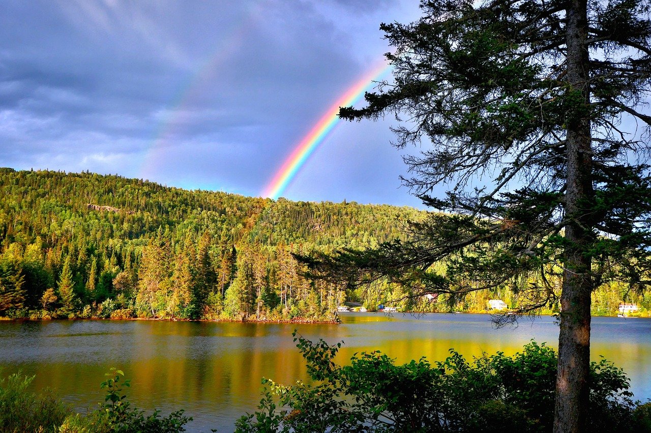 The Future of African Ecosystems (image credits: pixabay)