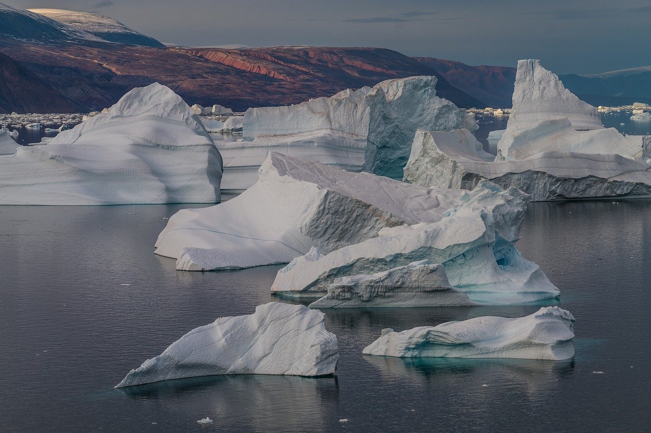Understanding the Arctic's Biodiversity (image credits: pixabay)