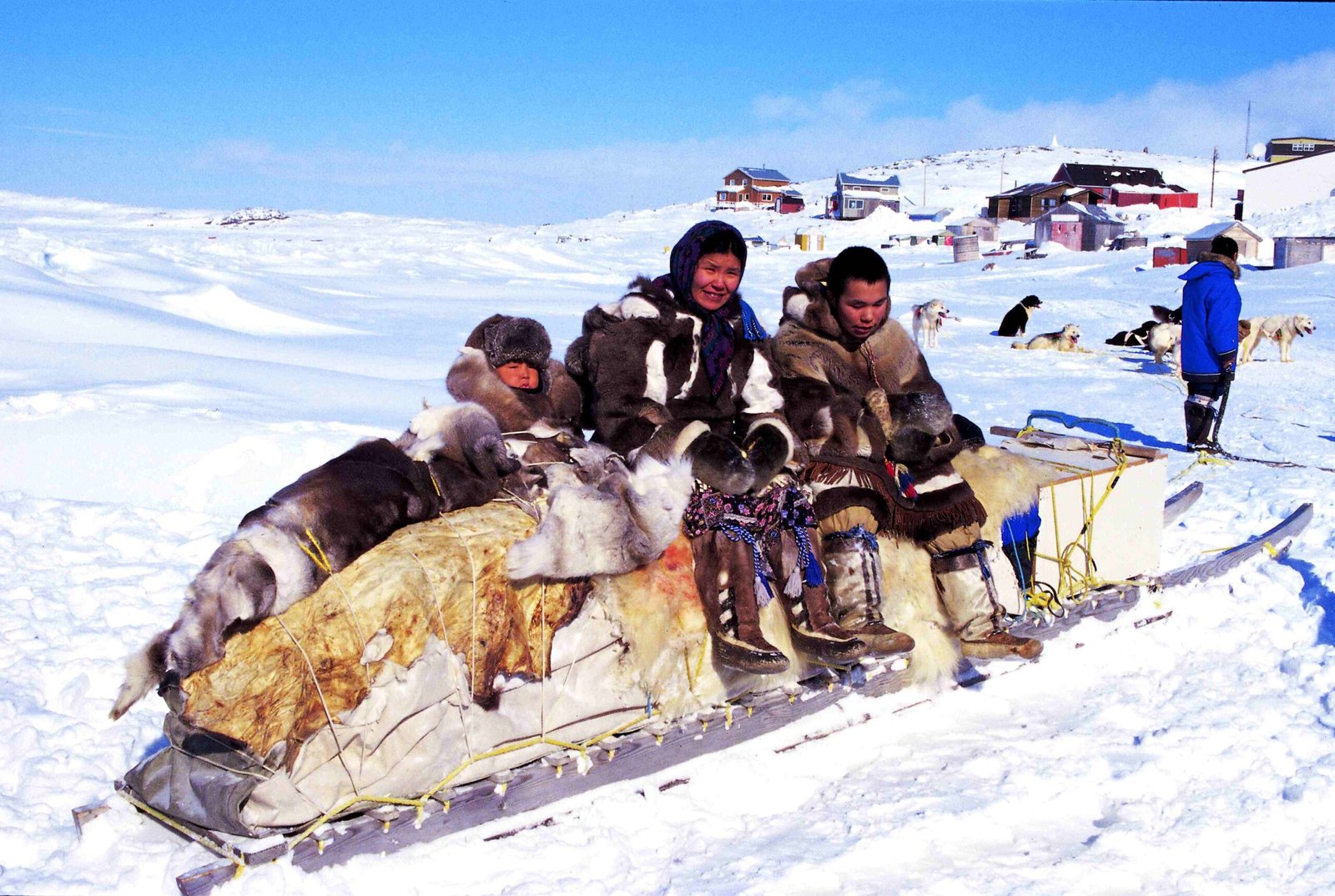 Conservation Efforts and Challenges (image credits: wikimedia)