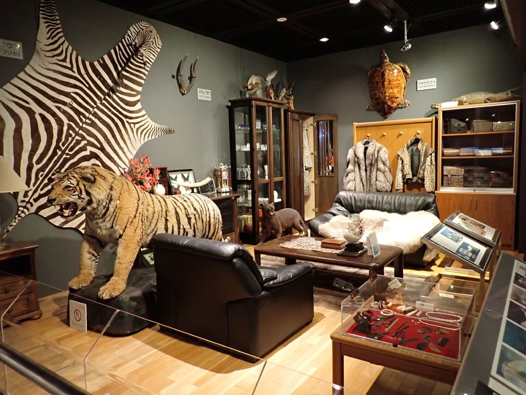 Threat to Local Communities (image credits: wikimedia)