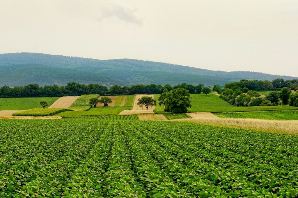The Role of Sustainable Agriculture