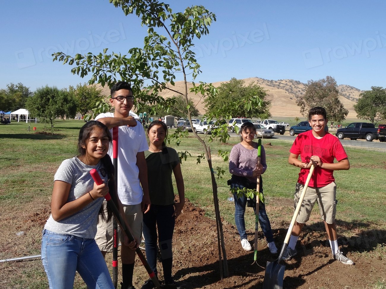 The Role of Indigenous Knowledge (image credits: rawpixel)