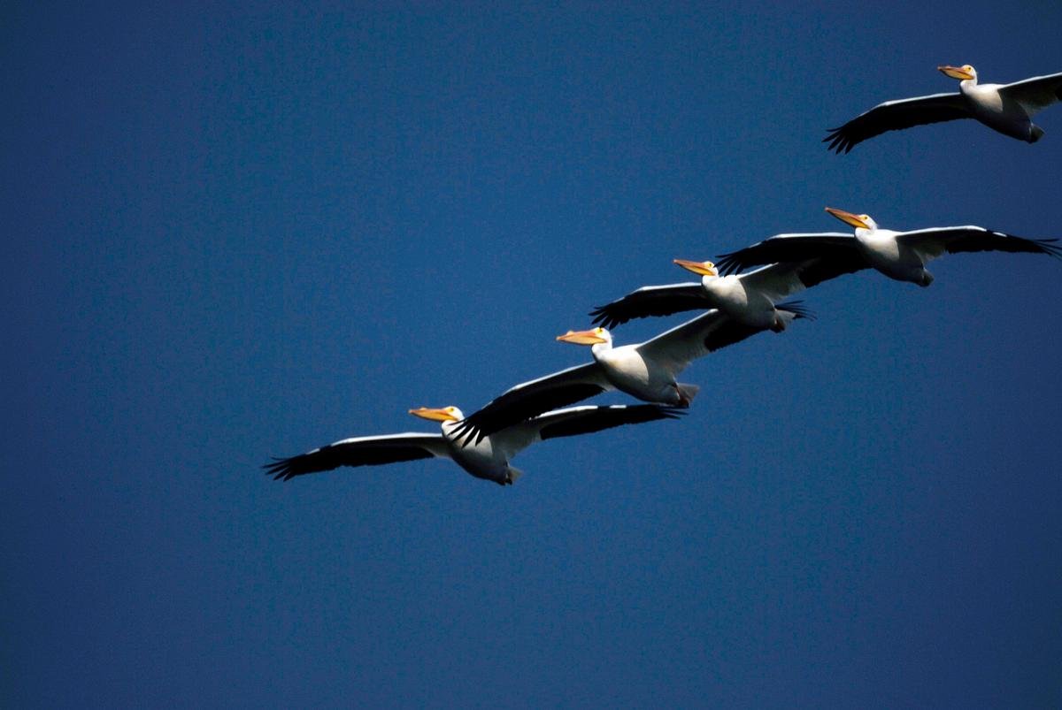 Education and Awareness: The Key to Change (image credits: rawpixel)