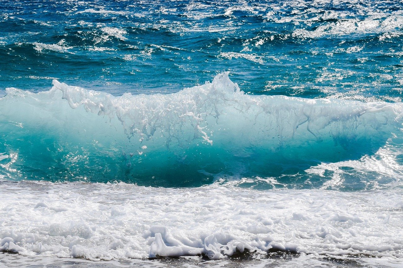 Dinoflagellates: The Sea's Sparkling Surface (image credits: pixabay)