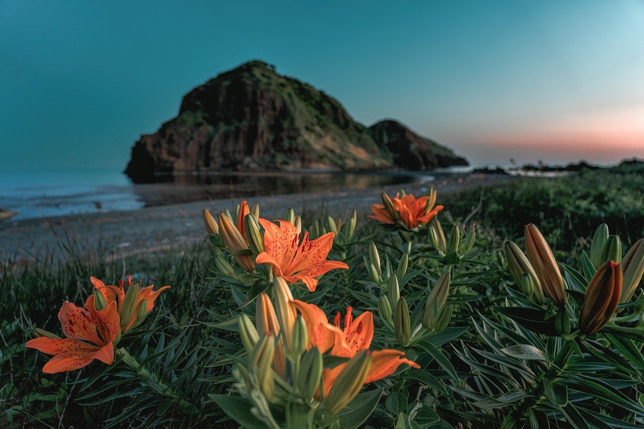 The Plight of Unique Species (image credits: pixabay)