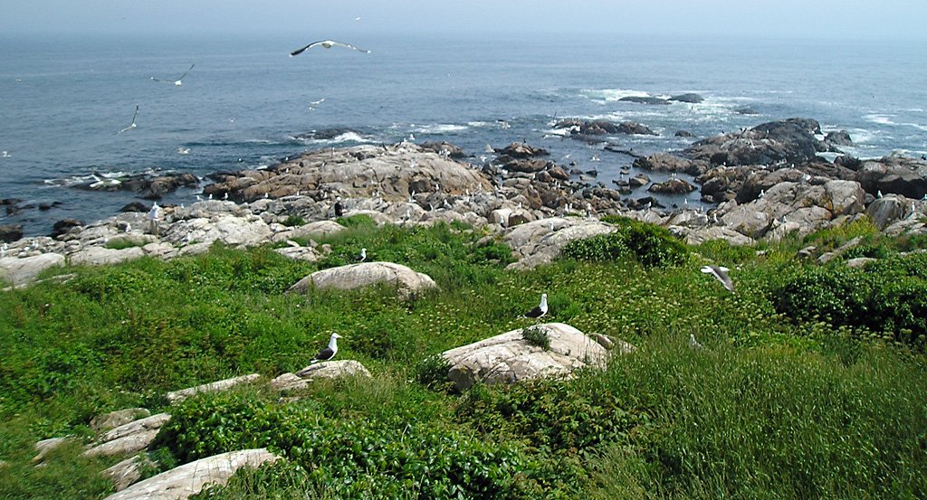 A Call to Action (image credits: wikimedia)