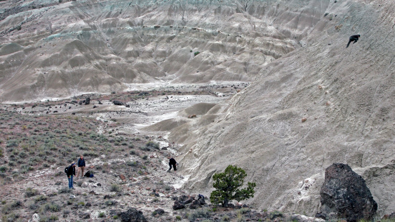 Volcanic Ash Deposits (image credits: wikimedia)
