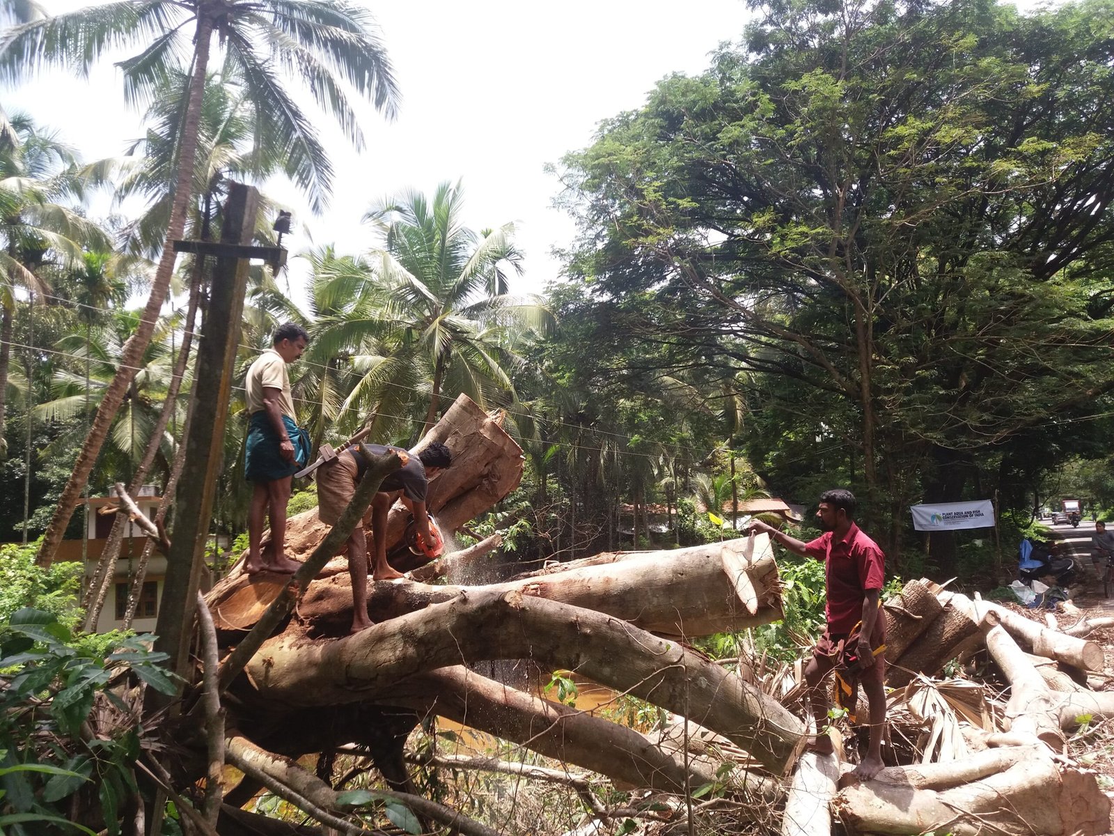 Success Stories: Community-Led Initiatives (image credits: wikimedia)