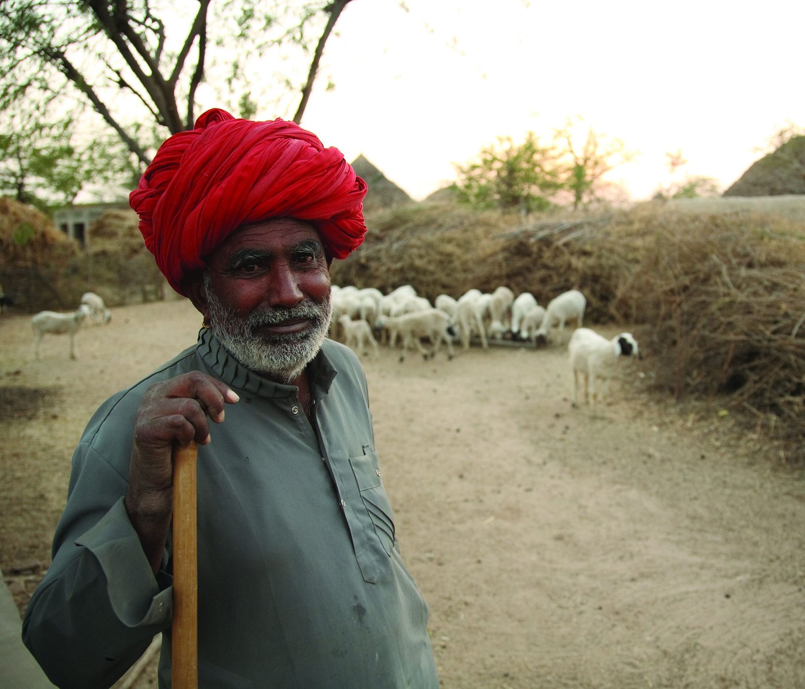 Sustainable Livelihoods: A Path to Conservation (image credits: wikimedia)