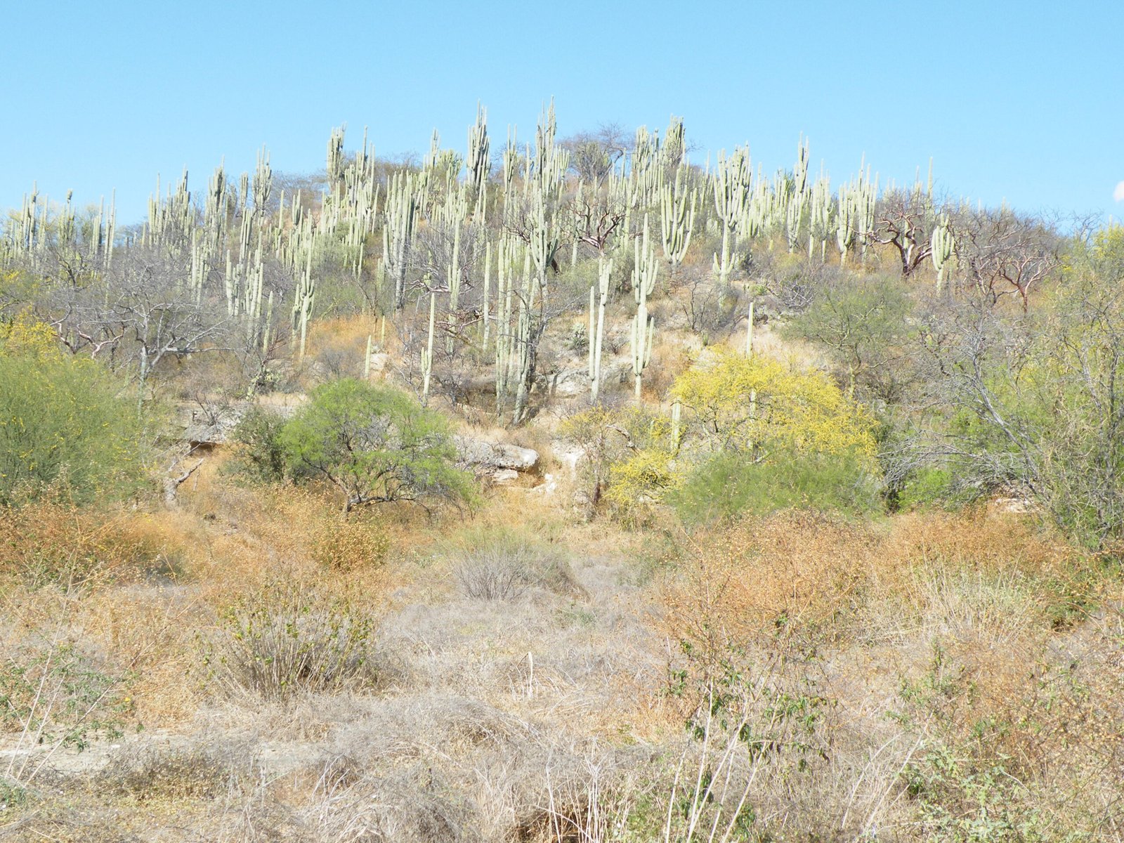 Education and Awareness: Building a Conservation Ethic (image credits: wikimedia)