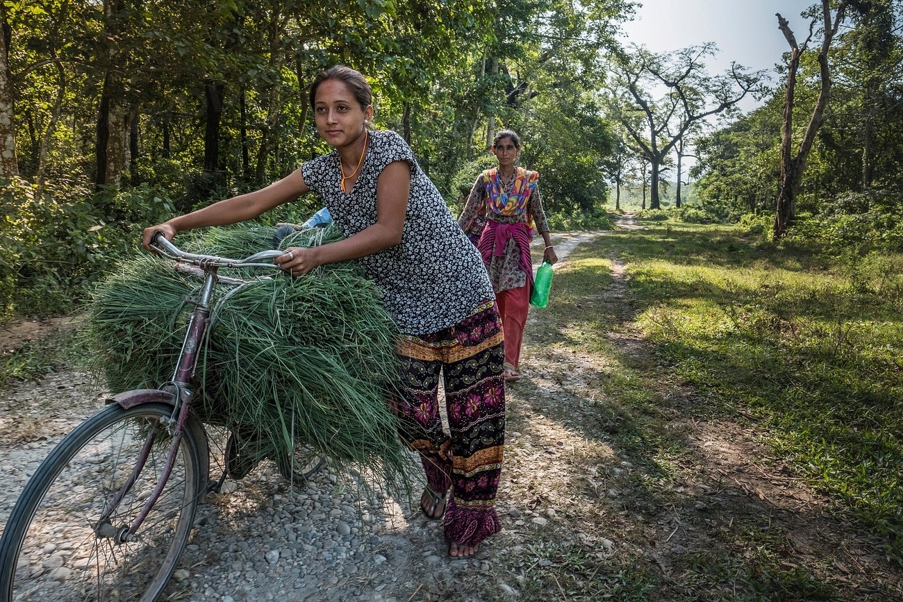 Community Involvement: The Role of Public Awareness and Education (image credits: rawpixel)