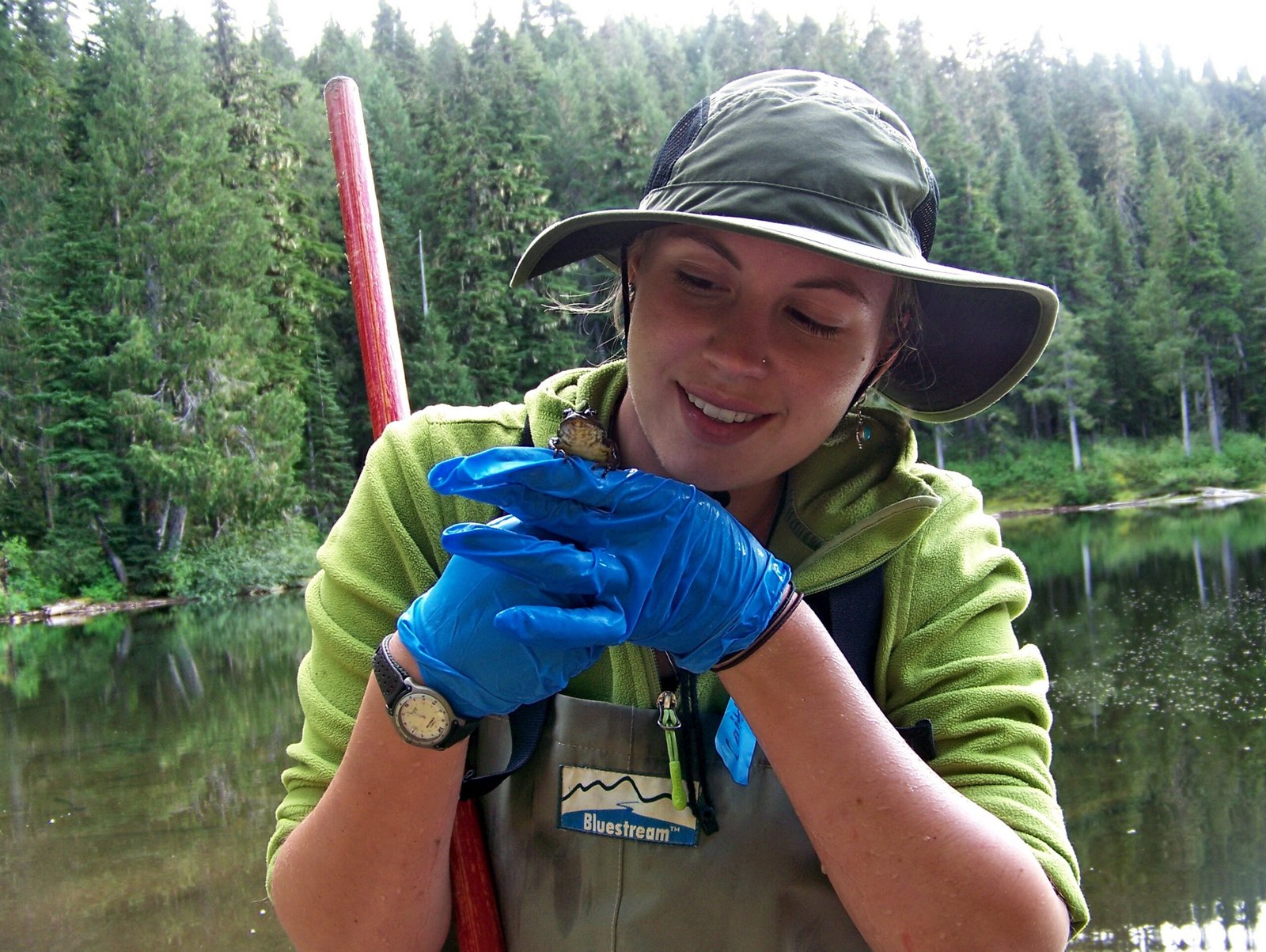 Real-World Impact: Case Studies (image credits: wikimedia)