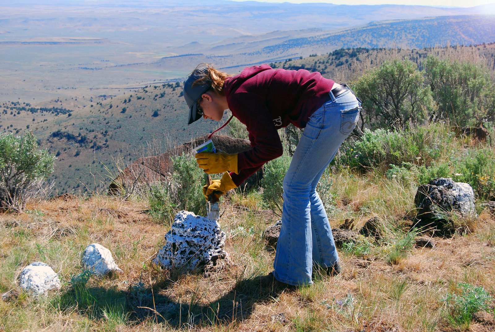 Engaging Youth in Conservation (image credits: wikimedia)