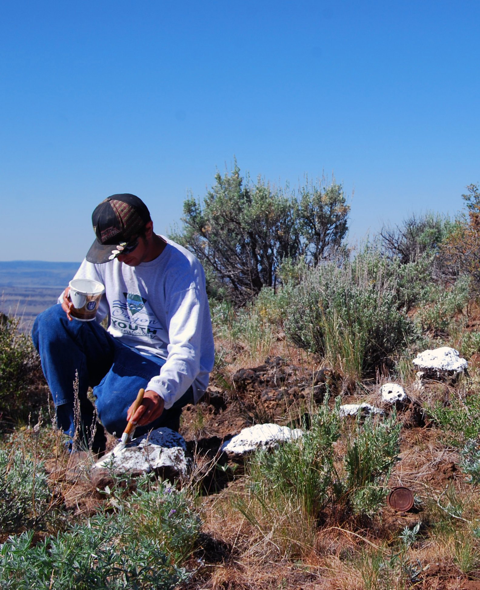 Challenges and Opportunities (image credits: wikimedia)