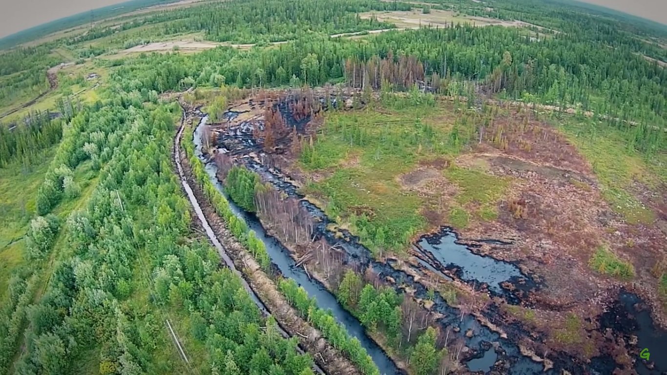 Long-Term Ecological Consequences (image credits: wikimedia)