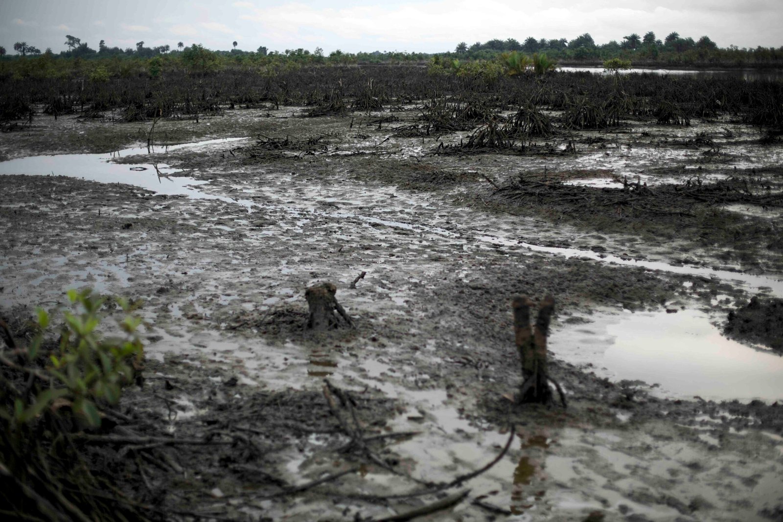 Impact on Local Communities (image credits: wikimedia)