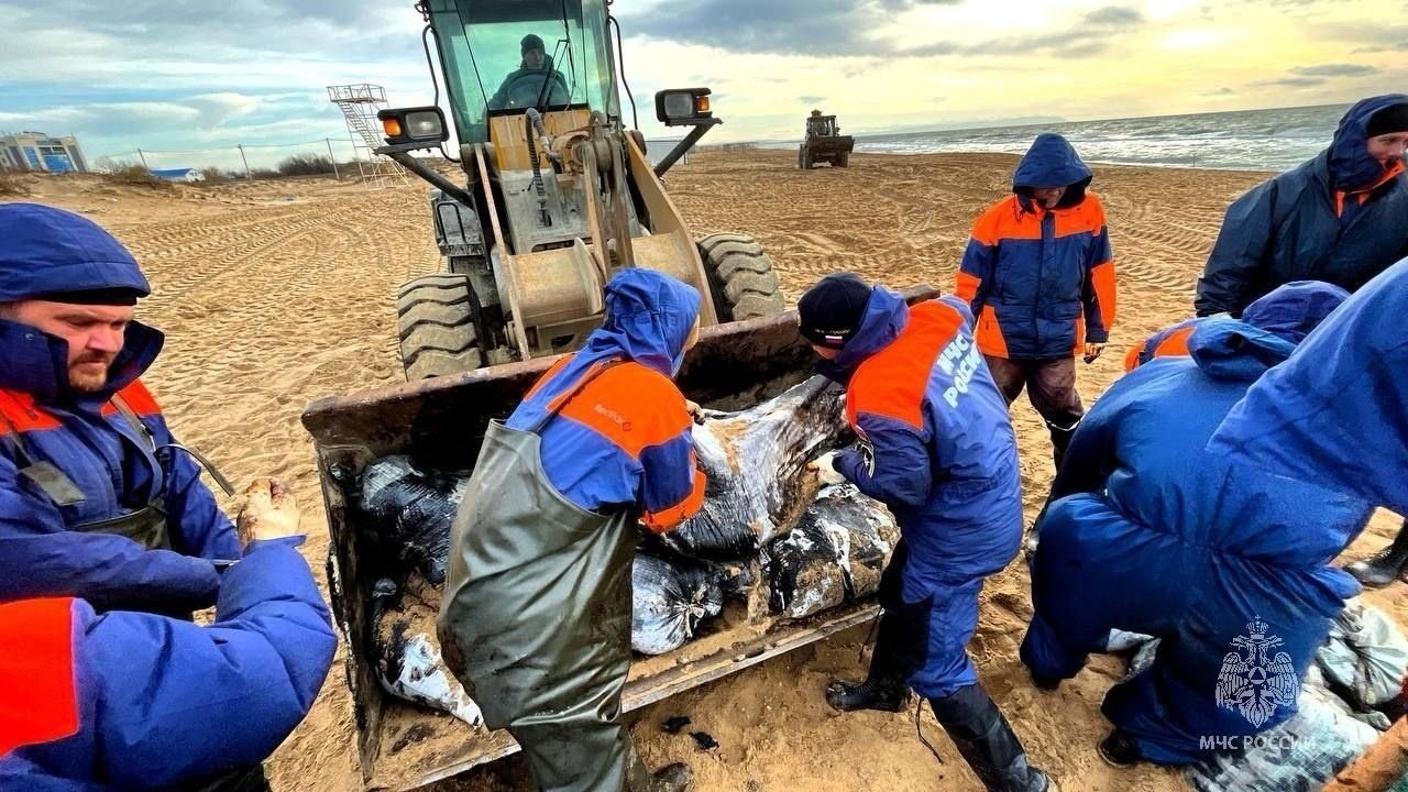Challenges in Response and Cleanup (image credits: wikimedia)