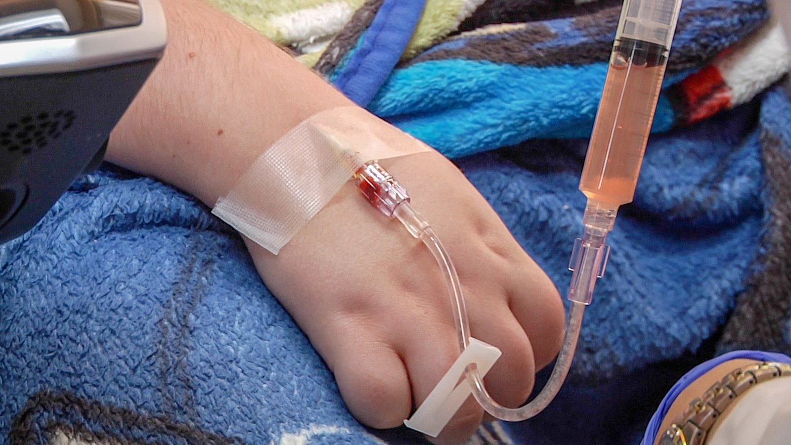 Stem Cells: The Promise of Regeneration (image credits: wikimedia)