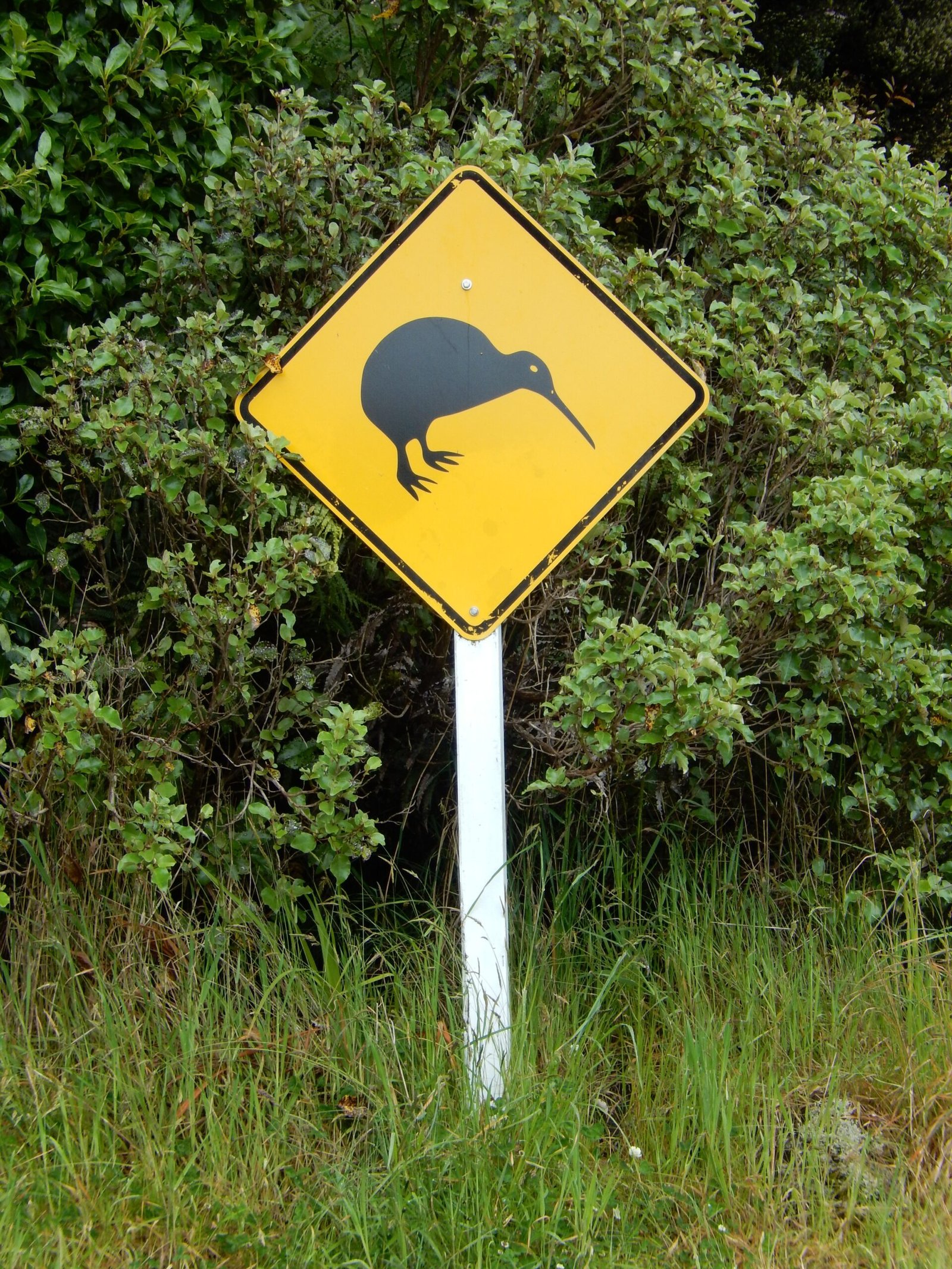 Engaging the Public (image credits: wikimedia)
