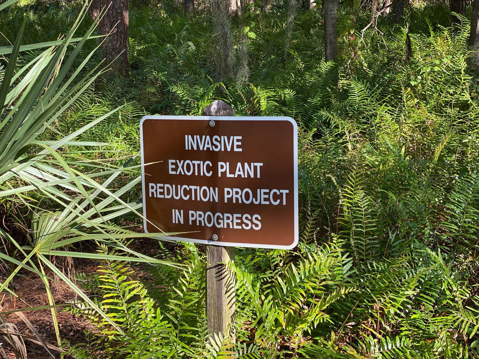 Impact on Native Fauna (image credits: wikimedia)