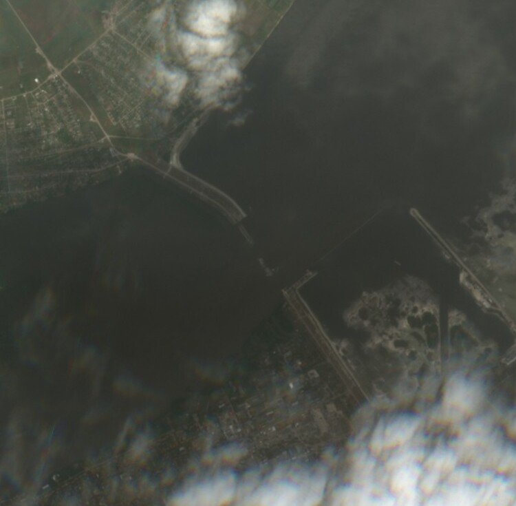 Socioeconomic Consequences (image credits: wikimedia)