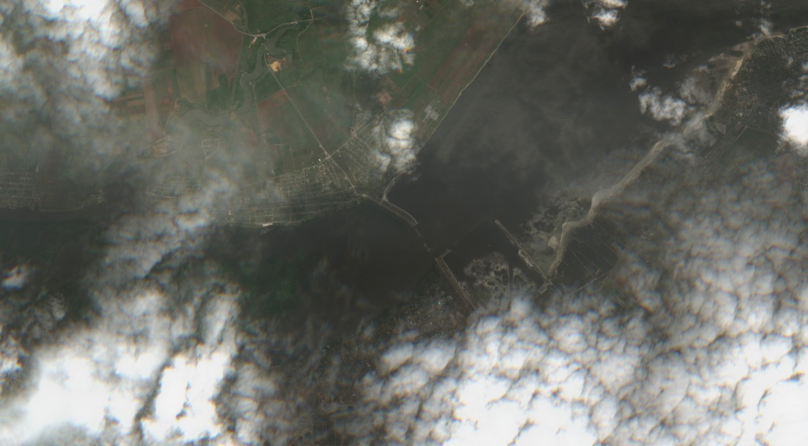 Long-Term Ecological Recovery (image credits: wikimedia)