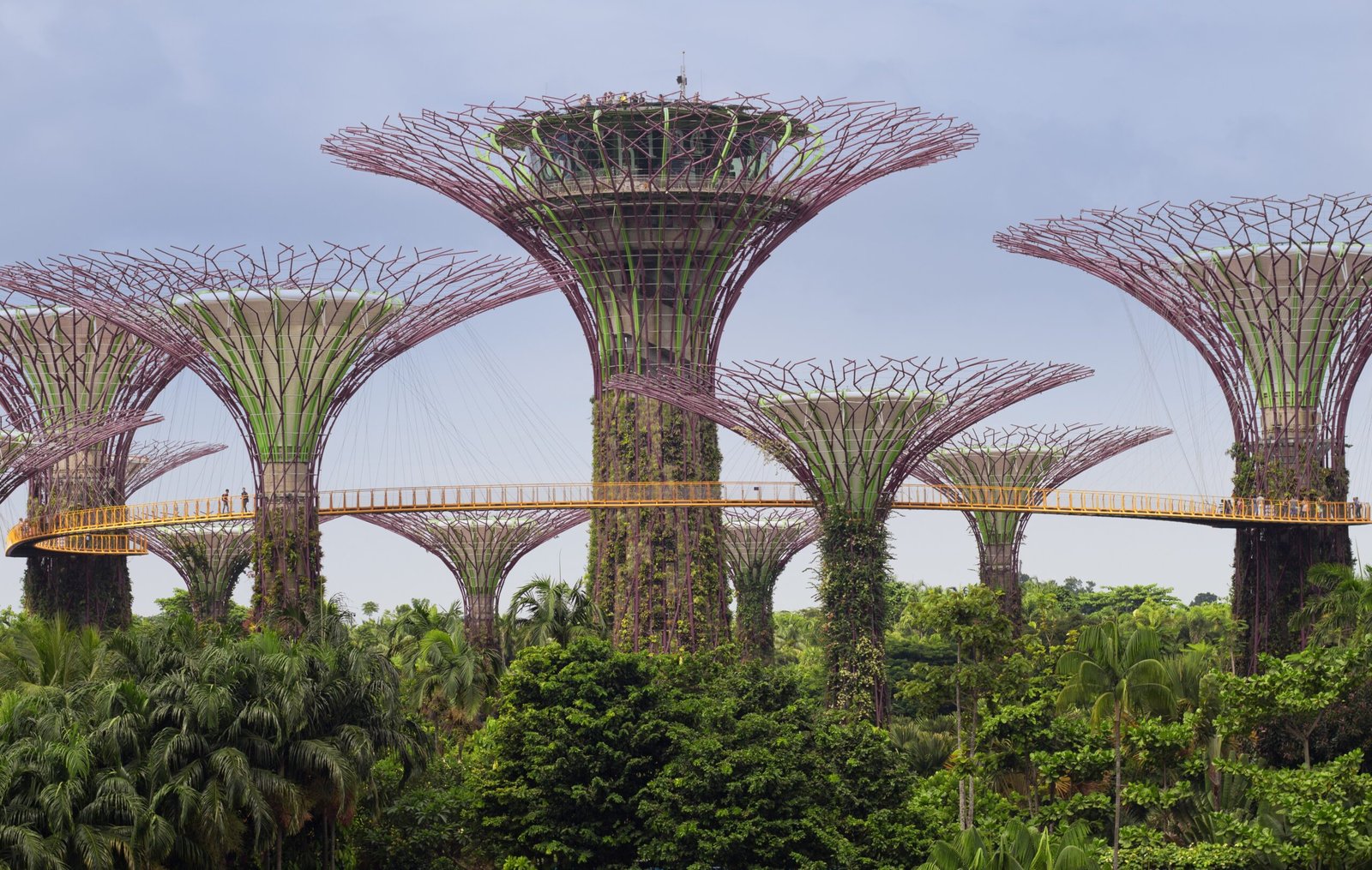 Technological Innovations in Climate Adaptation (image credits: wikimedia)